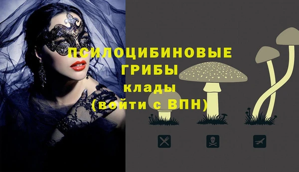 метамфетамин Елизово