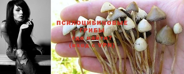 каннабис Ельня