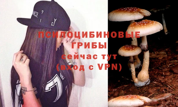 каннабис Ельня
