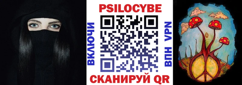 Псилоцибиновые грибы Psilocybe  Купить  Власиха 